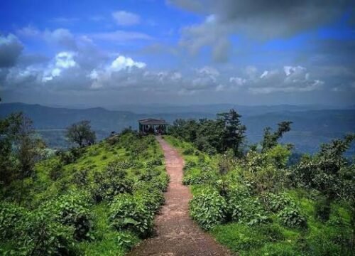 WILLSON HILL